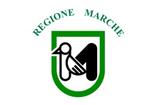 Servizi di traduzione per aziende nelle Marche